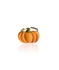 PUMPA RING, BRED