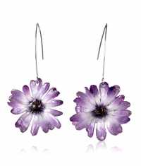 CINERARIA ÖRHÄNGEN