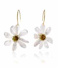 FJÄLLSIPPA ÖRHÄNGEN