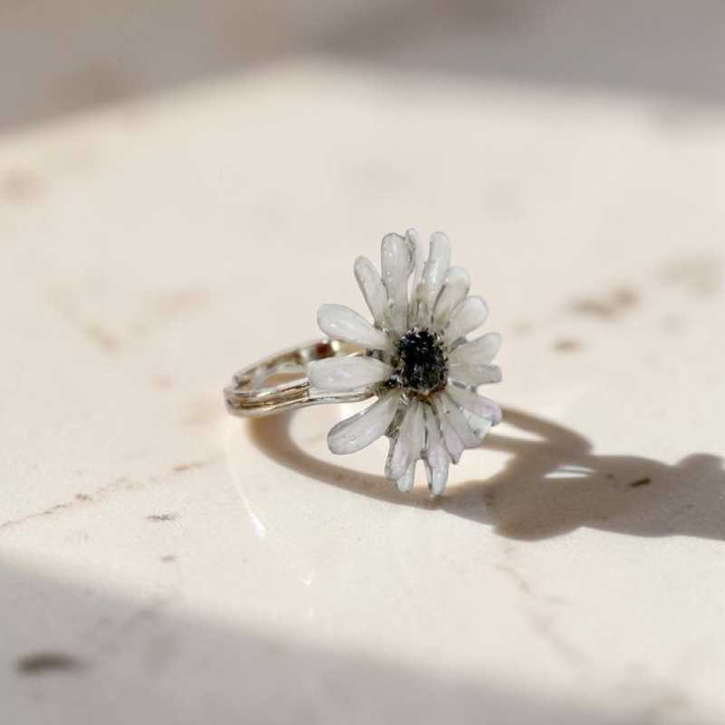 CINERARIA RING, LJUS