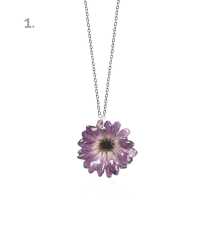 CINERARIA HALSBAND, LITEN