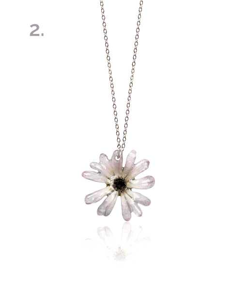 CINERARIA HALSBAND, LITEN