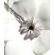 CINERARIA HALSBAND, LITEN