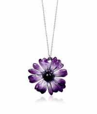 CINERARIA HALSBAND, STOR
