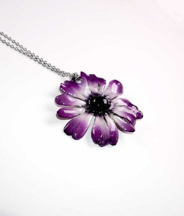 CINERARIA HALSBAND