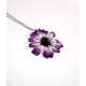 CINERARIA HALSBAND