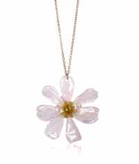 FJÄLLSIPPA HALSBAND, STOR