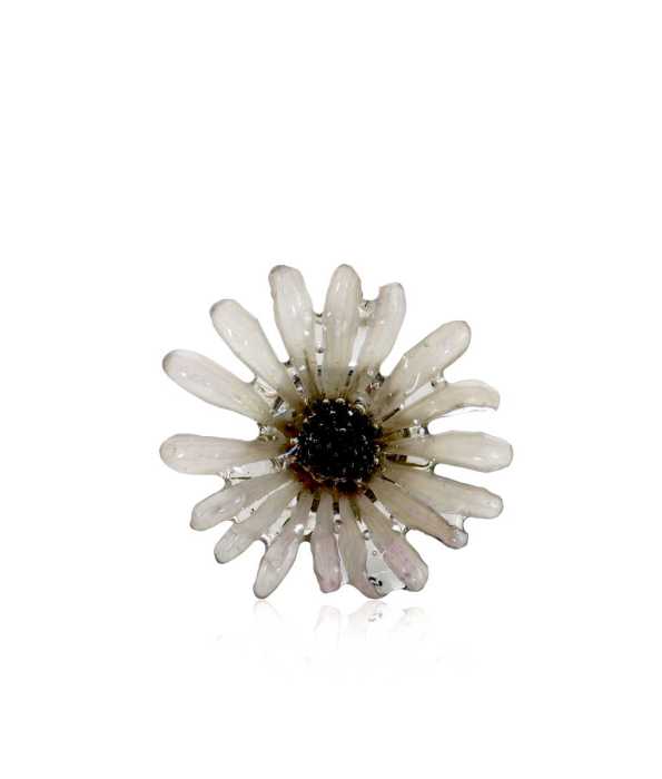 CINERARIA RING, LJUS