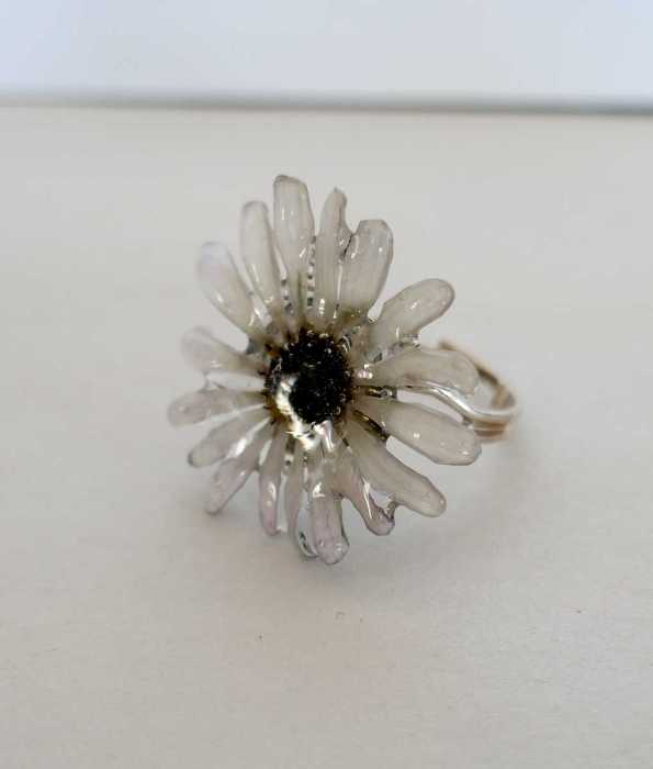 CINERARIA RING, LJUS