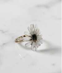 CINERARIA RING, LJUS