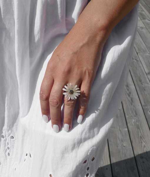 CINERARIA RING, LJUS