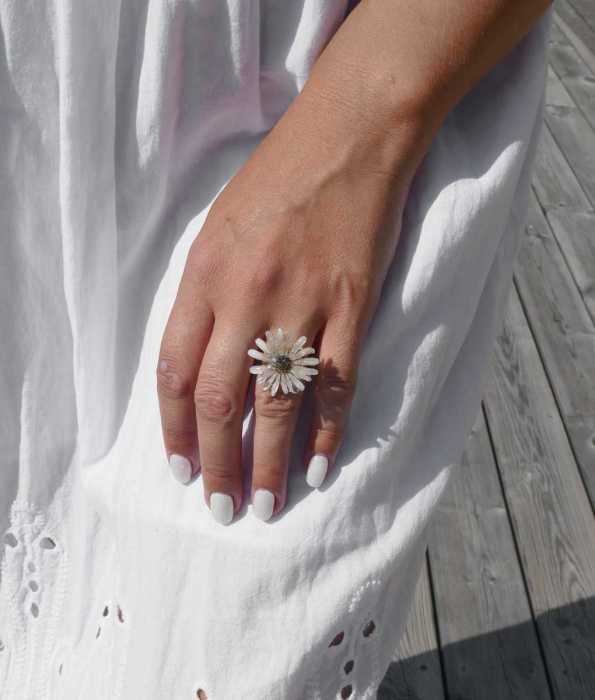 CINERARIA RING, LJUS
