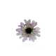 CINERARIA RING, MEDIUM
