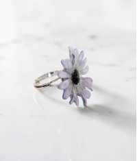 CINERARIA RING, MEDIUM