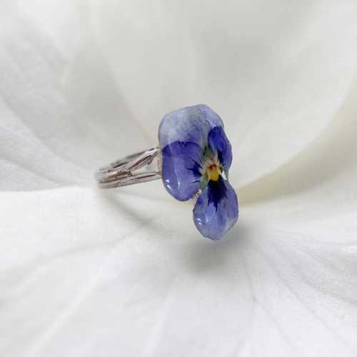 Viol Ring från Jewelry by Moette