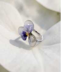 VIOL RING, LJUS